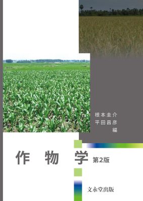 表紙見本写真