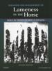 画像  『Diagnosis and Management of Lameness in the Horse, 2nd Edition』