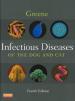 画像  『Infectious Diseases of the Dog and Cat 4th ed.』