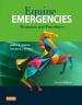 画像 『Equine Emergencies 4th ed. Treatment and Procedures』