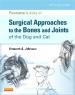 画像 『Piermattei's Atlas of Surgical Approaches to the Bones and Joints of the Dog and Cat 5th ed.』