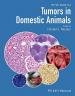 画像 『Tumors in Domestic Animals, 5/E』