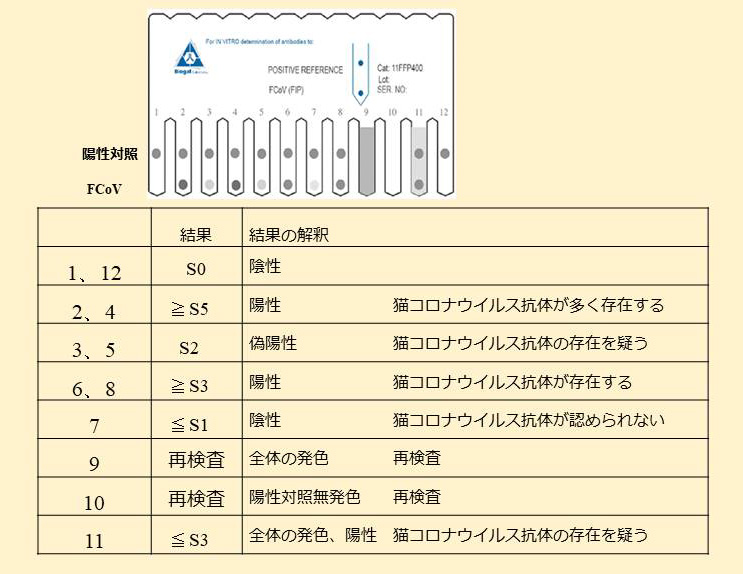 JVM NEWS 獣医学関連 学会・業界情報 - 文永堂出版